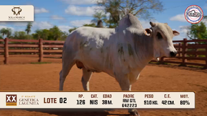 Lote 2 — Sola Marca SA
