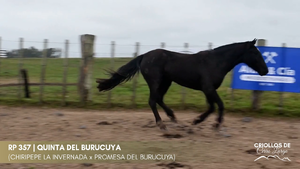 Quinta del Burucuya — Escritorio Alori y Cia.