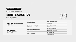  MONTE CASEROS