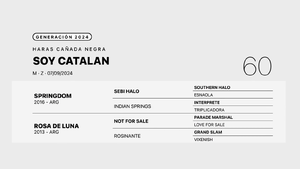  SOY CATALAN