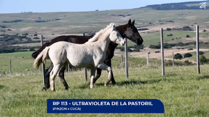  Ultravioleta. de La Pastoril