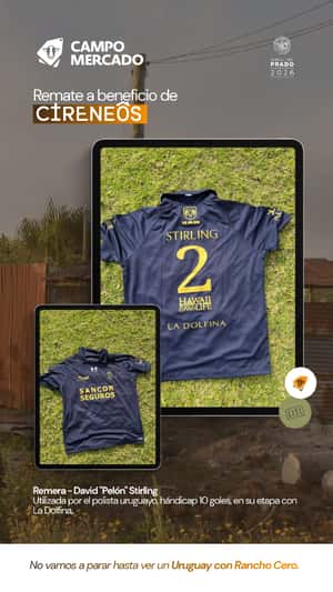 Lote "Remera David ""Pelón"" Stirling"