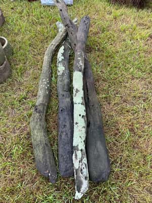 Lote LOTE POSTES DE MADERA DURA (4)