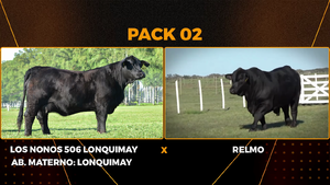  PACK 2
