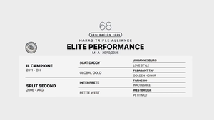  ELITE PERFORMANCE