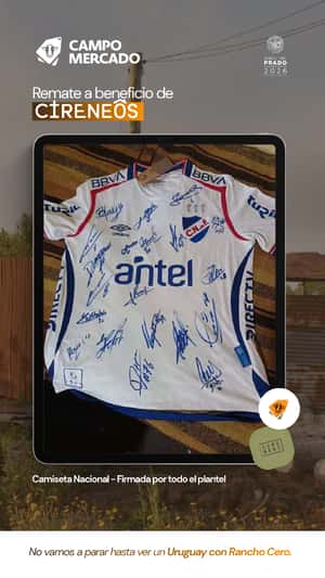 Lote Camiseta Nacional