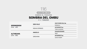  SOMBRA DEL OMBU