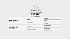  TETRIX