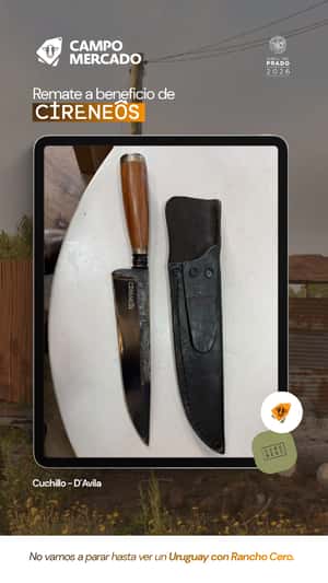 Lote Cuchillo D'Avila