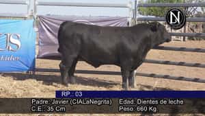  Toros PC