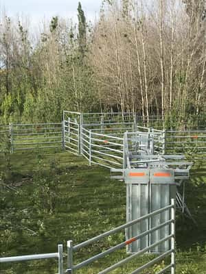  Bretes Moviles