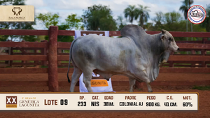 Lote 9 — Sola Marca SA