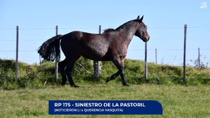  Siniestro de La Pastoril