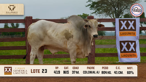 Lote 23 — Sola Marca SA