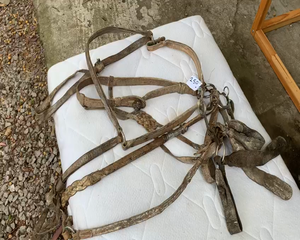 Lote JUEGO FRENOS-BOZAL-REBENQUE-MANEA