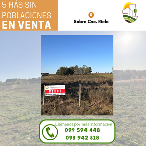 5 hás sin poblaciones sobre Cno. Rielo