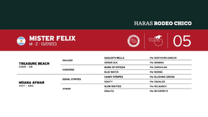  MISTER FELIX