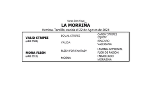  LA MORRIÑA