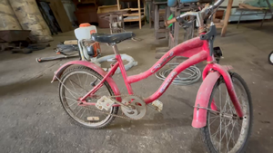 Lote bicicleta 