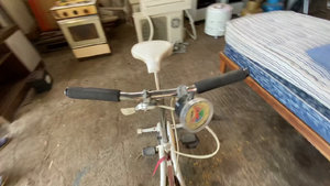 Lote BICICLETA