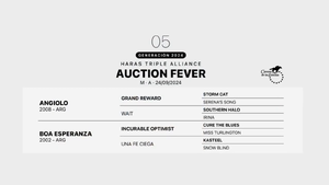  AUCTION FEVER