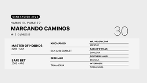  MARCANDO CAMINOS