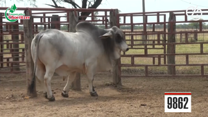  Brahman