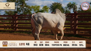 Lote 46 — Sola Marca SA