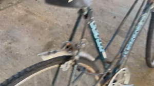 Lote BICICLETA DE DAMA