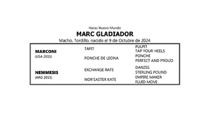 MARC GLADIADOR