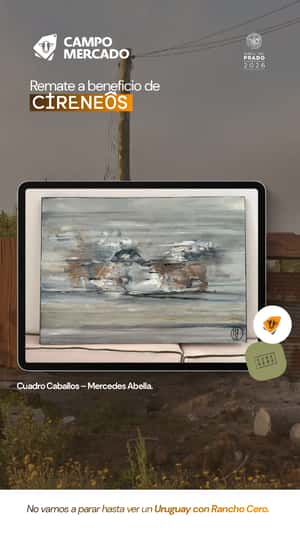 Lote Cuadro Mercedes Abella