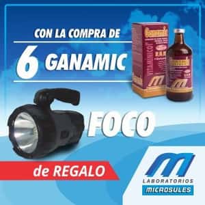  GANAMIC