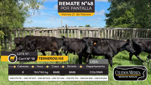  8 Terneros y Terneras en Estanzuela, Colonia