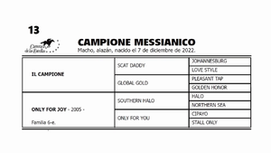  CAMPIONE MESSIANICO (IL CAMPIONE -  ONLY FOR JOY  por  SOUTHERN HALO)