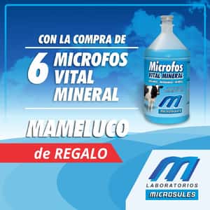  MICROFOS VITAL MINERAL