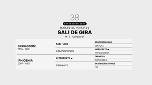  SALI DE GIRA
