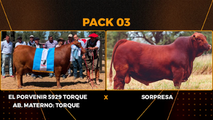  PACK 3