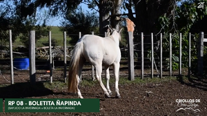  BOLETITA ÑAPINDA