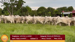  LOTE 132