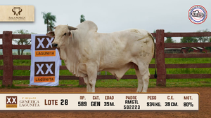 Lote 28 — Sola Marca SA