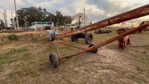 Lote tornillo granelero 