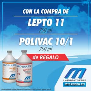  VAC-SULES LEPTO 11