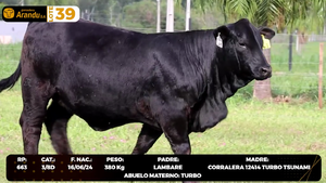  LOTE 39