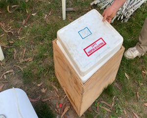 Lote CAJON MADERA CON CONSERVADORA