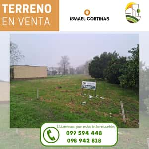 Terreno