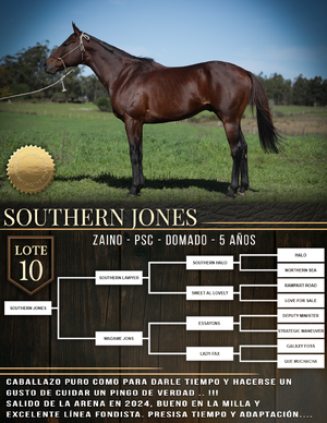  SOUTHERN JONES