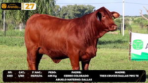  LOTE 27