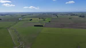  700 has en Lascano agrícola/ganadera
