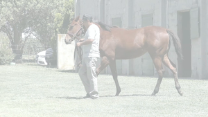  COSTA VES (LENOVO -  QUE ME VES)