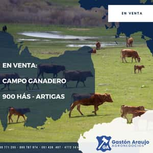 ClicRural - Gastón Araujo Agronegocios